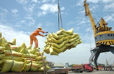 越南大米出口价格遇到瓶颈