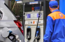 汽油价格不变  其他油类价格大幅上涨
