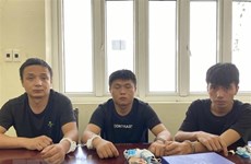 老街省警方破获一起组织中国公民非法入境越南的案件