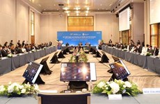 APEC卫生与经济高级别会议：越南分享医疗卫生与经济两手抓的经验