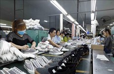 2022年前7个月越南鞋类出口创汇超过140亿美元