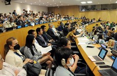 越南为联合国关于国家管辖范围以外区域海洋生物多样性的国际文书谈判进程积极贡献力量