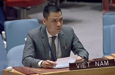 越南建议联合国开发计划署本着创新精神调动各方发展资源