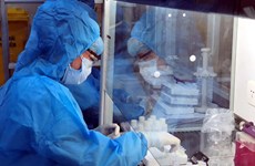 9月4日越南新增新冠肺炎确诊病例超1390例