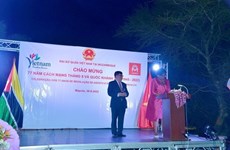 越南国庆节77周年：莫桑比克愿意继续推进与越南的实质性合作