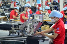 今年前8月越南经济复苏与发展计划已到位资金达55.5万亿越盾