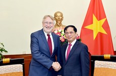 推动越南与欧盟关系深入发展