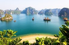  越南跻身澳大利亚游客前10个出游目的地榜单