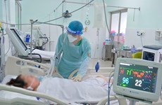 16日越南新增确诊病例3080例 新增康复病例近6万例