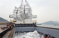 菲律宾从越南进口200万吨大米