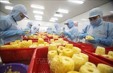 马来西亚媒体：越南巩固其在新鲜水果出口方面的地位