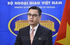 邓黄江大使：在多边论坛上做出贡献给越南带来许多切实利益