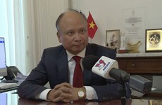 越南驻法国代表机构成为经济外交发展的亮点