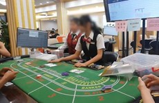 柬埔寨重拳打击赌博违法犯罪 