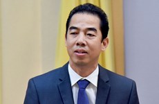 越共中央书记处给予外交部副部长苏英勇开除党籍处分