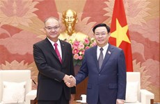 越南国会主席王廷惠会见泰国上议院第一副议长