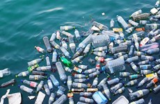 越南努力减少海洋塑料污染