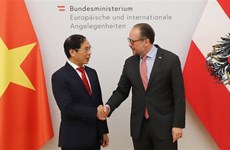  越南外交部部长裴青山对奥地利进行正式访问