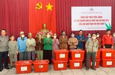 越南红十字会中央委员会为广义省4号台风灾民提供援助