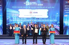 越南电力集团荣获2022年最佳数字化转型企业奖
