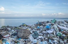越南加强国际合作减少海洋废弃物排放