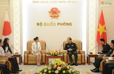 越南与日本加强联合国维和领域合作
