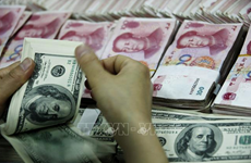 10月12日上午越南国内市场美元价格上涨，人民币价格下降