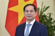 越南外交部长裴青山：与国际社会携手共建和平世界