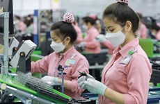 德媒：越南有望成为世界领先的技术中心
