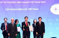 2022年越南强势品牌榜单出炉