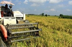 越南和东盟承诺消除贫困 致力于保障粮食安全