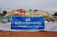老挝销毁大量毒品