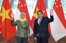  越南政府总理范明政会见新加坡总统雅各布