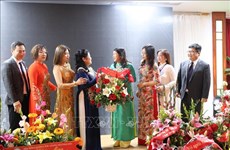 旅德越南人社群举行奥黛与饮食活动   庆祝越南妇女节