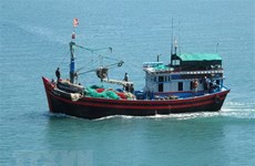 越南沿海省市重点管控和制止非法捕捞行为