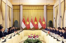 越南国家主席阮春福与新加坡总统雅各布举行会谈