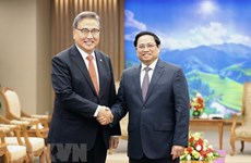 越南政府总理范明政会见韩国外长朴振