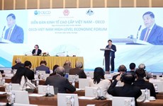 加强与越南的承诺是OECD的首要优先事项之一