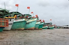 金瓯省实现渔船监测设备安装全覆盖