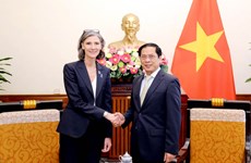 越南外交部长会见联合国开发计划署驻越南首席代表