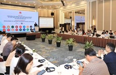 越南启动制定《可持续发展目标2023年自愿国家审查综合报告》
