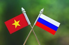 越南与俄罗斯学者就新形势下推动合作进行讨论