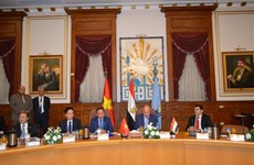 促进越南与埃及首都的全面合作关系