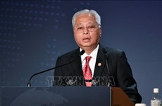 马来西亚将于11月举行大选