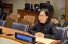 促进和保护人权：越南呼吁各国增加妇女在和平建设和谈判进程的参与度