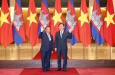 越南国会主席王廷惠与柬埔寨参议院主席赛冲举行会谈