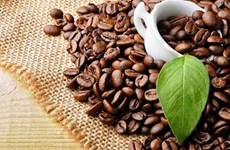 越南咖啡出口额可突破40亿美元大关