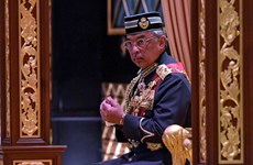 马来西亚国王对新加坡进行正式访问