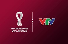越南电视台正式拥有2022年国际足联世界杯越南独家全媒体转播权