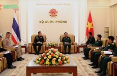 促进越南与泰国防务合作